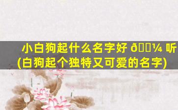 小白狗起什么名字好 🌼 听(白狗起个独特又可爱的名字)
